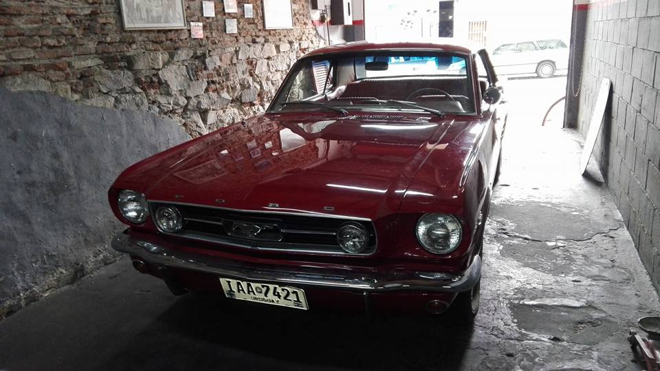 487743085 1920842008658876 1388779186508031688 n